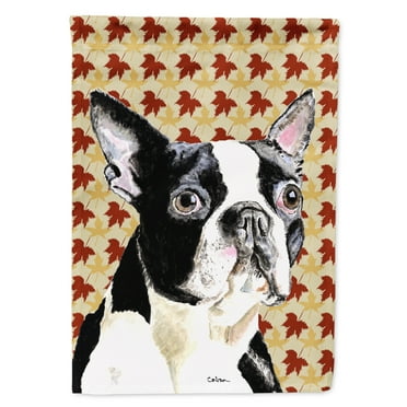 Carolines Treasures SC9200-FLAG-PARENT Boston Terrier Fall Leaves Portrait Flag  multicolor
