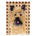 thumbnail image 1 of Carolines Treasures SC9215-FLAG-PARENT Cairn Terrier Fall Leaves Portrait Flag  multicolor, 1 of 2