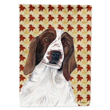 Carolines Treasures SC9220-FLAG-PARENT Welsh Springer Spaniel Fall Leaves Portrait Flag  multicolor