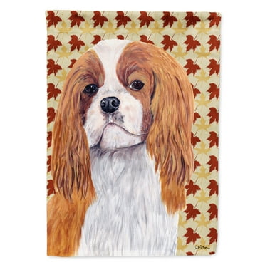 Carolines Treasures SC9232-FLAG-PARENT Cavalier Spaniel Fall Leaves Portrait Flag  multicolor