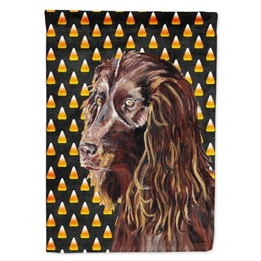 Carolines Treasures SC9532-FLAG-PARENT Boykin Spaniel Halloween Candy Corn Flag  multicolor