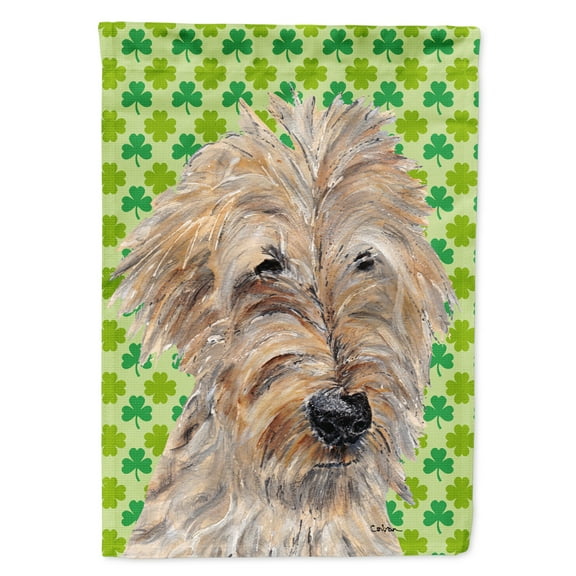 Carolines Treasures SC9577-FLAG-PARENT Goldendoodle St Patricks Irish Flag multicolor