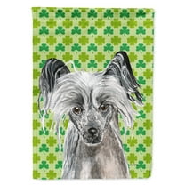 Carolines Treasures SC9578-FLAG-PARENT Chinese Crested St Patricks Irish Flag multicolor