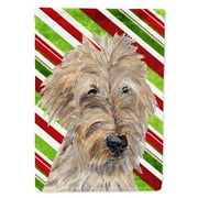Carolines Treasures SC9619-FLAG-PARENT Goldendoodle Candy Cane Christmas Flag multicolor