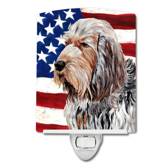 Carolines Treasures SC9636CNL Otterhound with American Flag USA Ceramic Night Light 6x4x3" multicolor