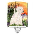 thumbnail image 1 of Carolines Treasures SS1013CNL Westie Ceramic Night Light 6x4x3" multicolor, 1 of 2
