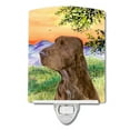 thumbnail image 1 of Carolines Treasures SS1017CNL Field Spaniel Ceramic Night Light 6x4x3" multicolor, 1 of 2
