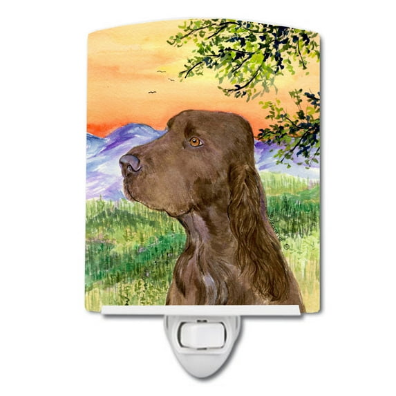 Carolines Treasures SS1017CNL Field Spaniel Ceramic Night Light 6x4x3" multicolor