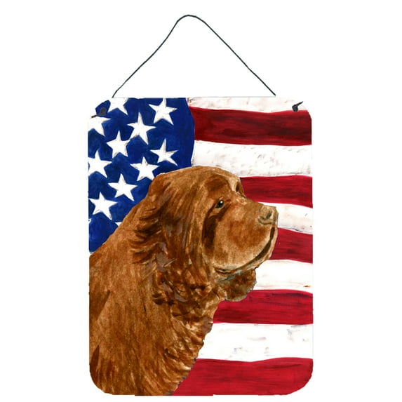 Carolines Treasures SS4037DS1216 USA American Flag with Sussex Spaniel Wall or Door Hanging Prints 12x16 multicolor
