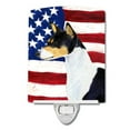 thumbnail image 1 of Carolines Treasures SS4041CNL USA American Flag with Basenji Ceramic Night Light 6x4x3" multicolor, 1 of 2
