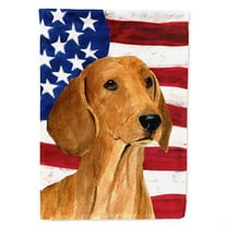 Carolines Treasures SS4049CHF USA American Flag with Dachshund Flag Canvas, Large, Multicolor