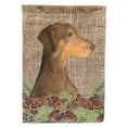 thumbnail image 1 of Carolines Treasures SS4070-FLAG-PARENT Doberman Flag  multicolor, 1 of 1