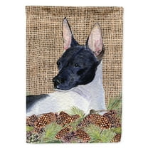 Carolines Treasures SS4071-FLAG-PARENT Rat Terrier Flag multicolor