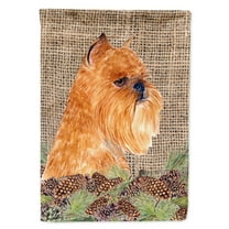 Carolines Treasures SS4084-FLAG-PARENT Brussels Griffon Flag  multicolor