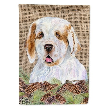 Carolines Treasures SS4089-FLAG-PARENT Clumber Spaniel Flag  multicolor