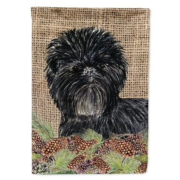 Carolines Treasures SS4100-FLAG-PARENT Affenpinscher Flag  multicolor