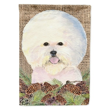 Carolines Treasures SS4106-FLAG-PARENT Bichon Frise Flag  multicolor