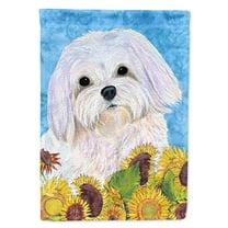 Carolines Treasures SS4115-FLAG-PARENT Maltese Flag  multicolor