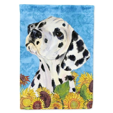 Carolines Treasures SS4126-FLAG-PARENT Dalmatian Flag  multicolor