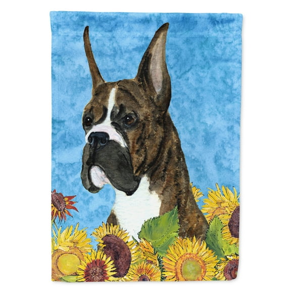 Carolines Treasures SS4141-FLAG-PARENT Boxer Flag  multicolor