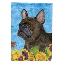 Carolines Treasures SS4152-FLAG-PARENT French Bulldog Flag multicolor