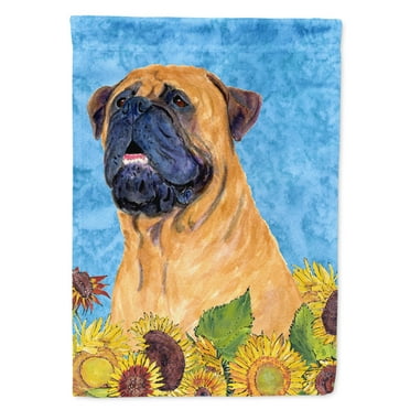 Carolines Treasures SS4153-FLAG-PARENT Bullmastiff Flag  multicolor