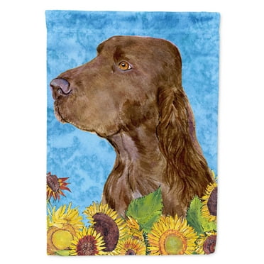Carolines Treasures SS4159-FLAG-PARENT Field Spaniel Flag  multicolor