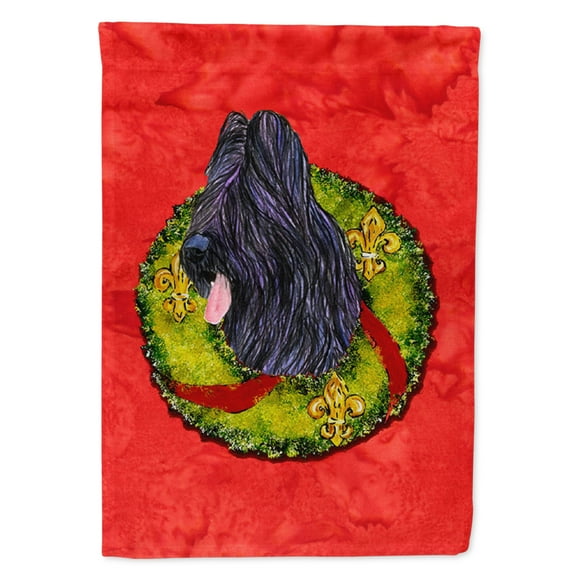Carolines Treasures SS4179-FLAG-PARENT Briard Flag  multicolor