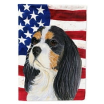 Carolines Treasures SS4248-FLAG-PARENT USA American Flag with Cavalier Spaniel Flag multicolor
