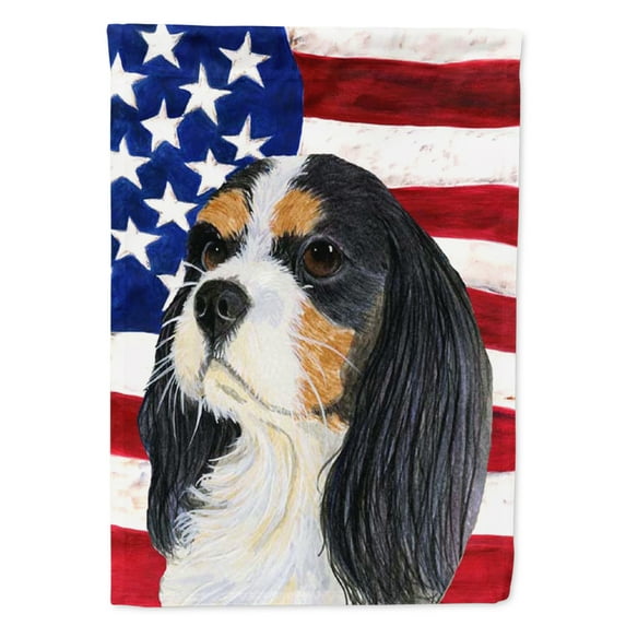 Carolines Treasures SS4248-FLAG-PARENT USA American Flag with Cavalier Spaniel Flag multicolor