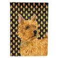 thumbnail image 1 of Carolines Treasures SS4292-FLAG-PARENT Norwich Terrier Candy Corn Halloween Portrait Flag  multicolor, 1 of 1