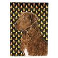 thumbnail image 1 of Carolines Treasures SS4324-FLAG-PARENT Chesapeake Bay Retriever Wheaten Candy Corn Halloween Portrait Flag  multicolor, 1 of 2