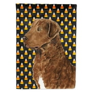 Carolines Treasures SS4324-FLAG-PARENT Chesapeake Bay Retriever Wheaten Candy Corn Halloween Portrait Flag multicolor