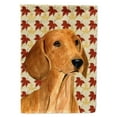thumbnail image 1 of Carolines Treasures SS4369-FLAG-PARENT Dachshund Fall Leaves Portrait Flag  multicolor, 1 of 1