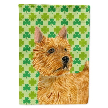 Carolines Treasures SS4430-FLAG-PARENT Norwich Terrier St. Patricks Day Shamrock Portrait Flag  multicolor