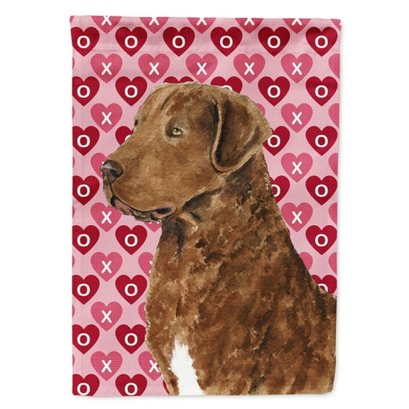 Carolines Treasures SS4531-FLAG-PARENT Chesapeake Bay Retriever Hearts Love and Valentines Day  Flag  multicolor