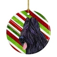 thumbnail image 1 of Carolines Treasures SS4558-CO1 Briard Candy Cane Holiday Christmas Ceramic Ornament 3 in multicolor, 1 of 3