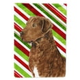 thumbnail image 1 of Carolines Treasures SS4600-FLAG-PARENT Chesapeake Bay Retriever Candy Cane Holiday Christmas Flag  multicolor, 1 of 2
