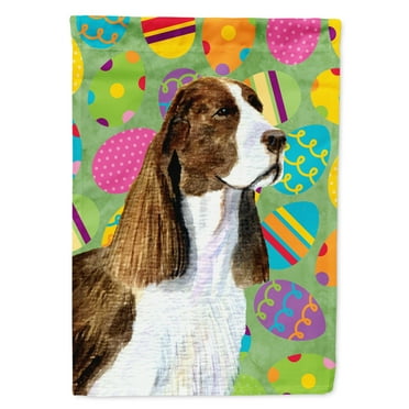 Carolines Treasures SS4858-FLAG-PARENT Springer Spaniel Easter Eggtravaganza Flag  multicolor