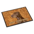 thumbnail image 1 of Carolines Treasures SS4879MAT Field Spaniel Wipe your Paws Doormat 18x27 27"L x 18"W multicolor, 1 of 4