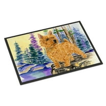 Carolines Treasures SS8011JMAT Norwich Terrier Doormat 24x36 36"L x 24"W multicolor
