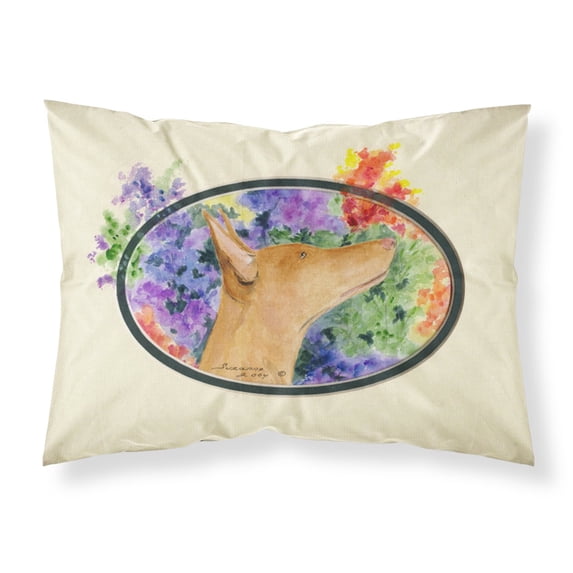 Carolines Treasures SS8041PILLOWCASE Pharaoh Hound Fabric Standard Pillowcase Standard multicolor