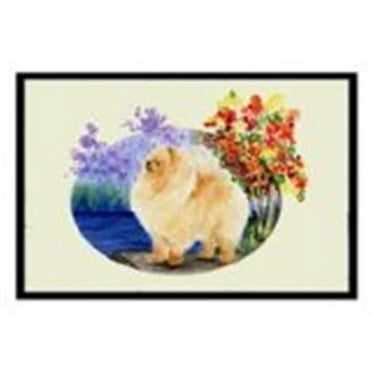 Carolines Treasures SS8047MAT 18 x 27 in. Pomeranian Indoor Outdoor Mat