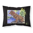 thumbnail image 1 of Carolines Treasures SS8065PILLOWCASE Boykin Spaniel Fabric Standard Pillowcase Standard multicolor, 1 of 2