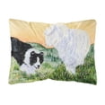 thumbnail image 1 of Carolines Treasures SS8103PW1216 12 x 16 in. Border Collie Decorative Indoor & Outdoor Fabric Pillow, 1 of 3