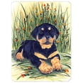 thumbnail image 1 of Carolines Treasures SS8107MP Rottweiler Mouse Pad- Hot Pad & Trivet, 1 of 1