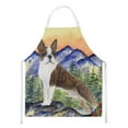 thumbnail image 1 of Carolines Treasures SS8162APRON Boston Terrier Apron Large multicolor, 1 of 4