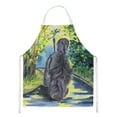 thumbnail image 1 of Carolines Treasures SS8181APRON Afghan Hound Apron Large multicolor, 1 of 4