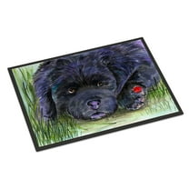 Carolines Treasures SS8272JMAT Newfoundland Doormat 24x36 36"L x 24"W multicolor