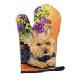 thumbnail image 1 of Carolines Treasures SS8297OVMT Norwich Terrier Oven Mitt Large multicolor, 1 of 7